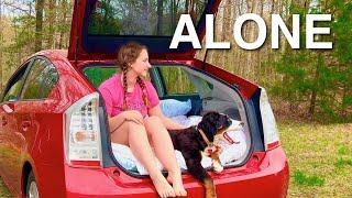 Solo Car Camping for the First Time...