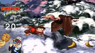 Donkey Kong Country (Blind) Part 20: On thin ice