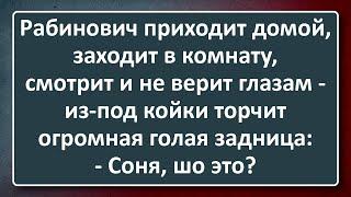 Огромная Задница из-под Кровати! Сборник Анекдотов Синего Предела №195