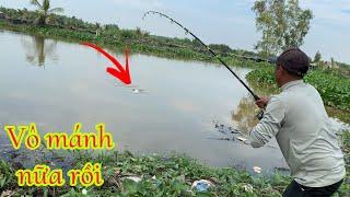 Câu Cá Tra Sông | Bãi Cá Khủng Pen Cái Có Hugo | Fishing Miền Tây