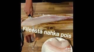 Hauki ruodottomiksi filepaloiksi helposti. #hauki #file #fish #pike #cooking #fishfood