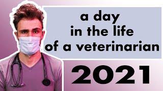 A Day in the Life of A Veterinarian 2021 - Dr Ross Henderson