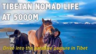 I Drive into the Largest NO-MAN‘s Land in Tibet, Meet the Nomadic People and Heavenly Lake Namtso.