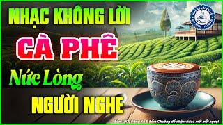 Nhạc Không Lời Buổi Sáng Nức Lòng Người Nghe | Hòa Tấu Rumba Guitar | Nhạc Cafe Buổi Sáng