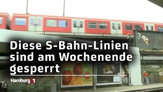 S-Bahn-Sperrung am Wochenende: Hier fahren am Samstag und Sonntag nur Busse!