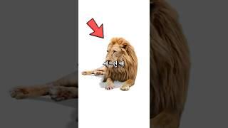 전교 1등도 못푸는 전설의 문제 (정답 포함)