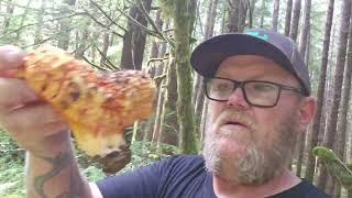 Mushroom   picking and moss gathering on Vancouver Island.