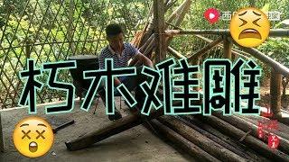 【山鍋兄弟】一大批木材没保管好，只能当柴烧，山锅兄弟这次损失可不小！