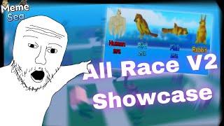 Every Race V2 Showcase | Meme Sea