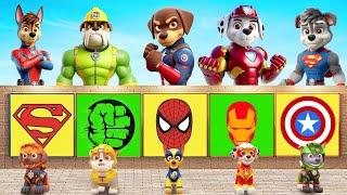 PAW Patrol CHALLENGE Rescue Ryder Escape From Cage By Becoming Superhero 5 Times Challenge