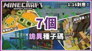 MCPE(BE) | 基岩版7個新的最詭異、最損壞的種子碼！！ 一個要塞兩個傳送門，以及超不合常理的峽谷景觀！