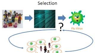 Crowd-Squared: Amplifying the Predictive Power of Large-Scale Crowd-Based Data