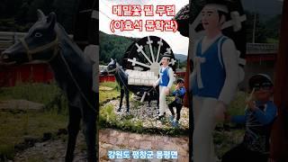 메밀꽃 필 무렵 이효석 문학관 강원도 평창군 봉평면 5일장 메밀밭 봉평 전통시장 우리나라 근대 소설의 배경 하루 만보걷기 추천합니다. #평창 #메밀꽃 #봉평 #5일장