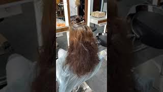 Russian balayage training | آموزش بالیاژ روسی