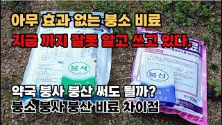 붕소의 역할 효능 결핍 붕사 붕산비료 영양제 엽면시비 사용법 차이점