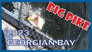 2023 Georgian Bay BIG Pike Fishing