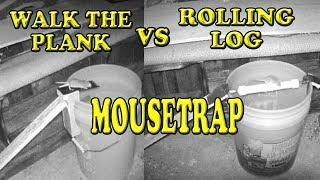 Walk the Plank vs Rolling Log Mousetrap Which is Better