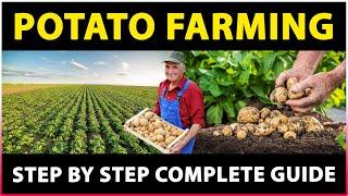 Potato Farming: Planting, Care, Harvesting | How to grow potatoes at Home | Potato Cultivation