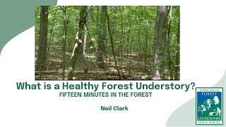 Fifteen Minutes in the Forest: What is a Healthy Understory