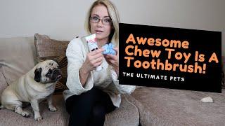 This Awesome Chew Toy Is A Toothbrush For Dogs