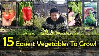 The 15 Easiest Vegetables To Grow For Beginners