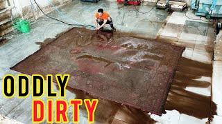 Sewer overflow - lncredible dirty carpet cleaning satisfying ASMR