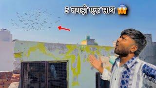 सेदी के लिये 2 बाते | Ghar Me Ghusa Diye kabootar | System Hang Kar Diya aaj