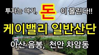 2023년 7월 2일 투자는 여기, 돈이 몰린다!!  투자,  이것을 알아야 된이 된다!!   아산 음봉 산동리와 천안 차암동!!  천안과 아산의 강남으로 뜬다!!