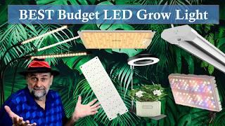 BEST Budget LED Grow Light for Under $50