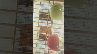 4 May 2025