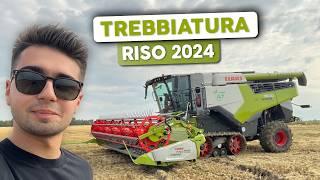 RICE THRESHING 2024! How did it go?