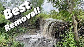 The Art of Dam Removal!