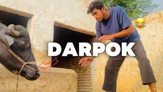 Ak or Darpok agya  #vlog #hamzavlog #vlogs