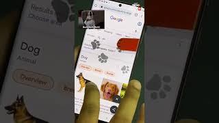 Google Search Doggie Feature That You Didn't Know #shorts #ytshorts