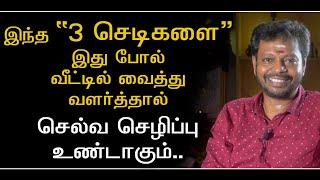 இந்த 3 செடிகளை வீட்டில் வைத்து வளர்த்தால்,செல்வ வளம் பெருகும்,மன நிம்மதி கிடைக்கும்.#sadhguru #786