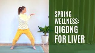 Qigong For Spring | Liver & Wood Element