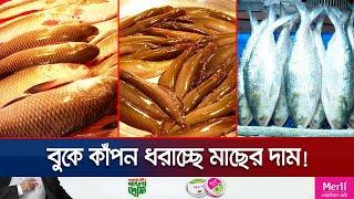 ছোট মাছের দাম শুনলেও পিলে চমকে ওঠে! | Fish Price | Jamuna TV