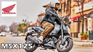 2025 HONDA MSX125 GROM - All colors & specs