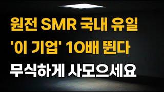 [주식] 원전 SMR 국내 유일 '이 기업' 10배 뛴다. 무식하게 사모으세요.[12월주식전망, 두산에너빌리티, 두산중공업, 원전관련주, 대한전선, 원전대장주]