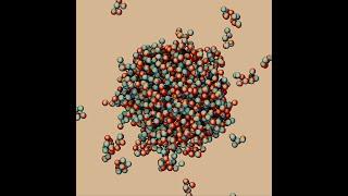 BPPB Virtual Seminar, Ned Wingreen, “Magic numbers in protein phase separation”