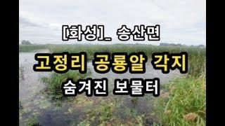 [화성권]_ 고정리 공룡알 각지 / 숨겨진 비밀 낚시터