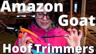 Testing out the CHEAPESTS goat HOOF TRIMMERS on sale from amazon