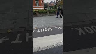 #abbey road #the beatles #all you need is love #1969