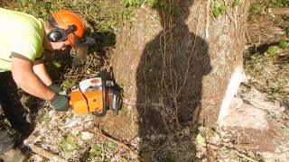 Stihl ms 361