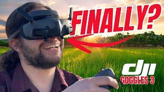 DJI Goggles 3 //  Vision & Comfort FINALLY perfect? // Avata 2 Flight with Motion Controller