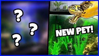 AQUARIUM SHOPPING SPREE (NEW PET)