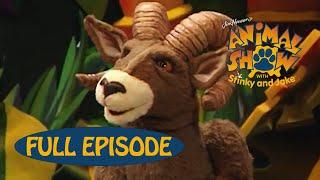 Animal Show | Bighorn Sheep  / Red Deer  | Jim Henson Family Hub