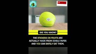 DID YOU KNOW ABOUT THESE RANDOM FACTS??