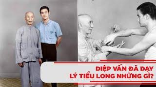 Diệp Vấn đã dạy Lý Tiểu Long những gì? || Võ thuật