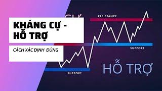 KHÁNG CỰ - HỖ TRỢ - BẢN CHẤT VÀ SỰ HÌNH THÀNH [Chuyên mục PTKT]